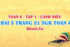 Bài 5 trang 21 SGK Toán 6 tập 1 Cánh Diều